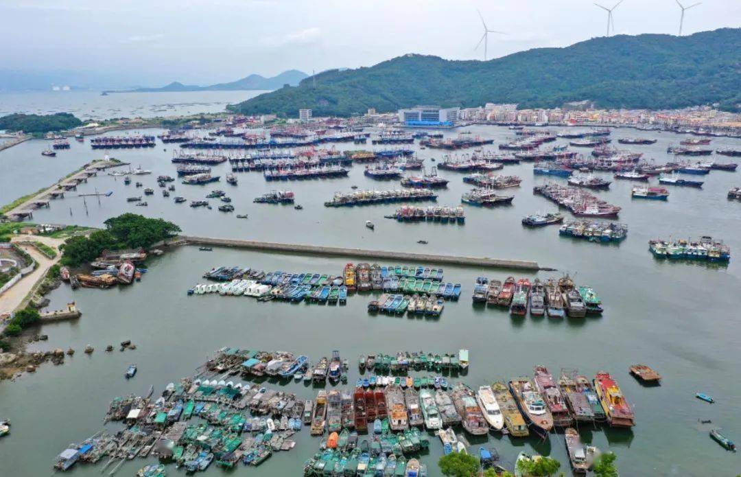 皇冠信用盘会员开户
_南海开渔皇冠信用盘会员开户
,无惧争“鲜”