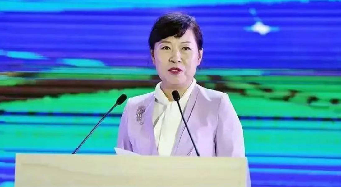 AC米兰vs克雷莫内塞
_“换装主席”王莉霞的堕落:从光鲜人设到腐败深渊