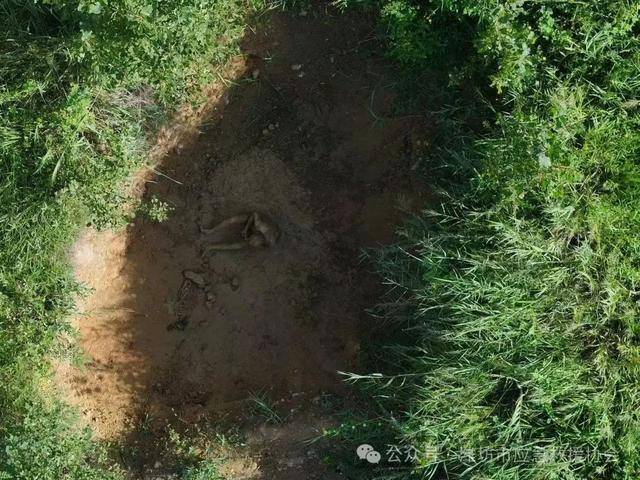 米德尔斯堡vs谢菲尔德联_高密一老太走失三天四夜 泥坑中被发现