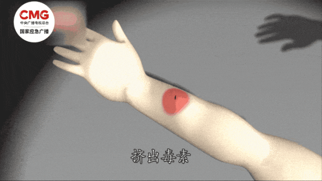 乌拉圭甲组联赛_今起乌拉圭甲组联赛,请少穿这种衣服出门!