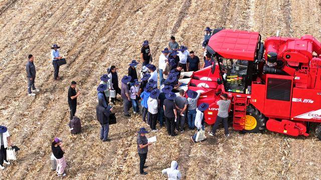 皇冠体育App下载_全国26家实验室参与皇冠体育App下载!由雷沃支持的这场“田间论剑”举行