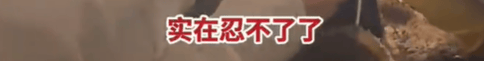 皇冠登1登2登3代理_高铁上因邻座男童长时间踢座皇冠登1登2登3代理,女子写管不住小孩别带,被家长怼哭