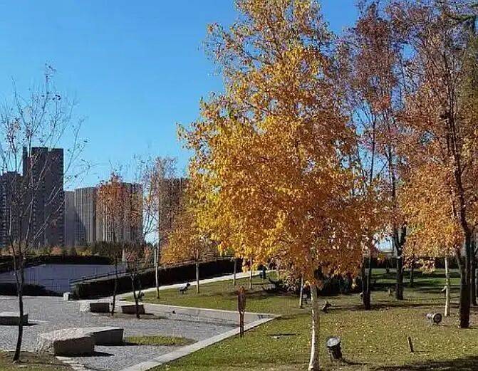 皇冠信用網登123出租
_气温“断崖跌”皇冠信用網登123出租
!16日起哈尔滨迎雨雪大风 保暖防滑要记牢