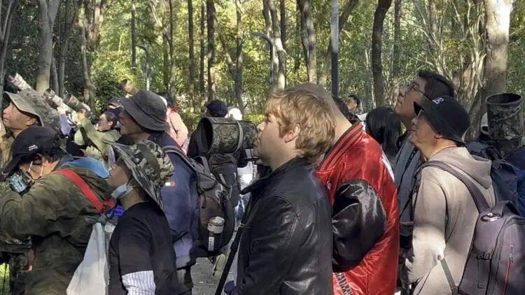 皇冠球网怎么做代理
_百年罕见!首次在上海被目击皇冠球网怎么做代理
,有人专门从北京“打飞的”赶来