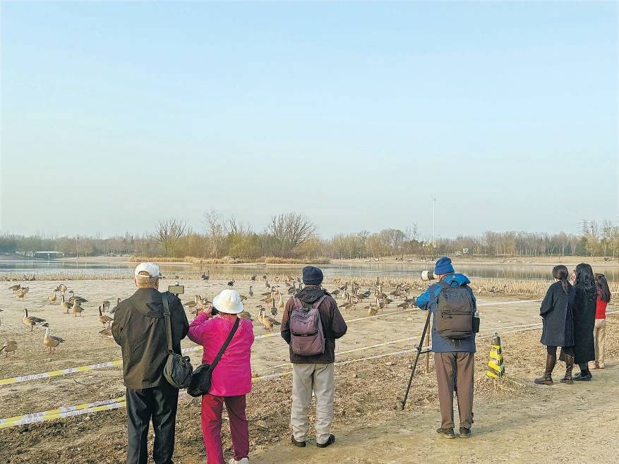 皇冠信用出租
_“大姐皇冠信用出租
,再喂它们就走不了了!”