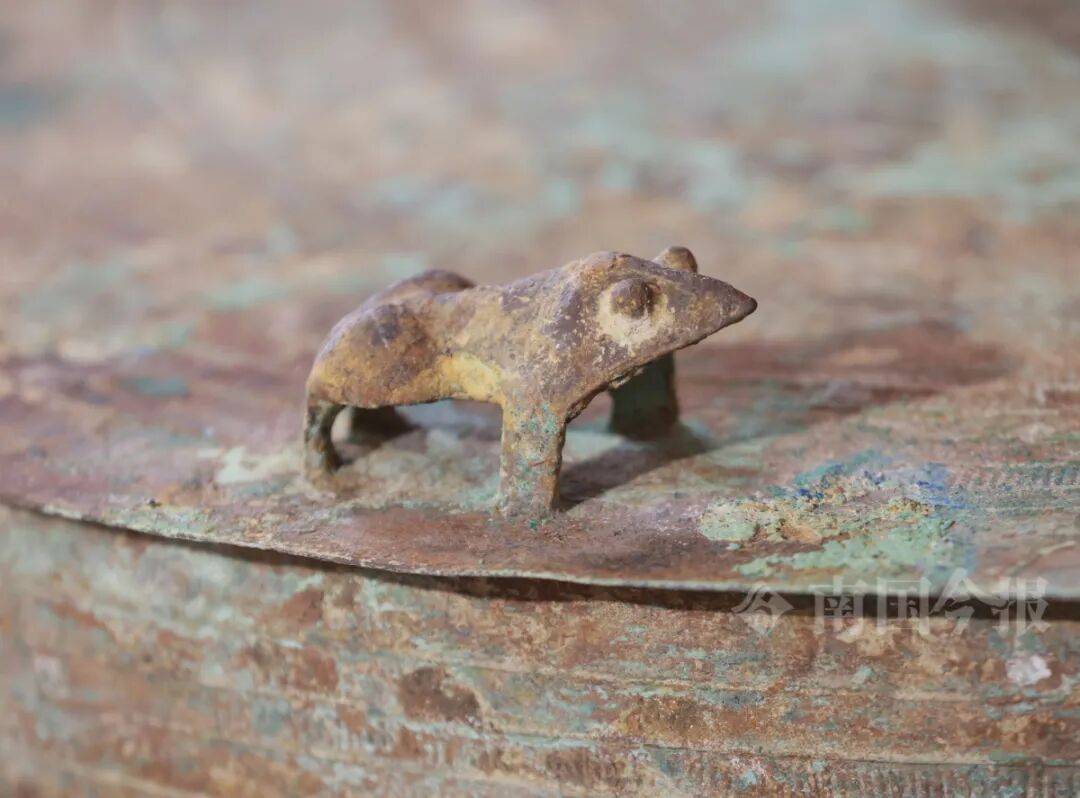 皇冠信用登2代理
_柳州钓鱼阿叔竹林挖蚯蚓皇冠信用登2代理
，竟挖出千年前的“大宝贝”！