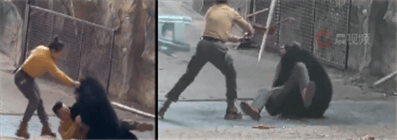 澳大利亚足球
_杭州一动物园黑熊突然袭击饲养员澳大利亚足球
,当地回应:或因抢袋中食物