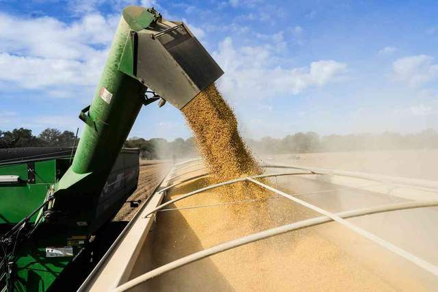 皇冠信用网庄家_中国采购800万吨美国大豆皇冠信用网庄家,美媒争相“报喜”,实则中美角色已互换