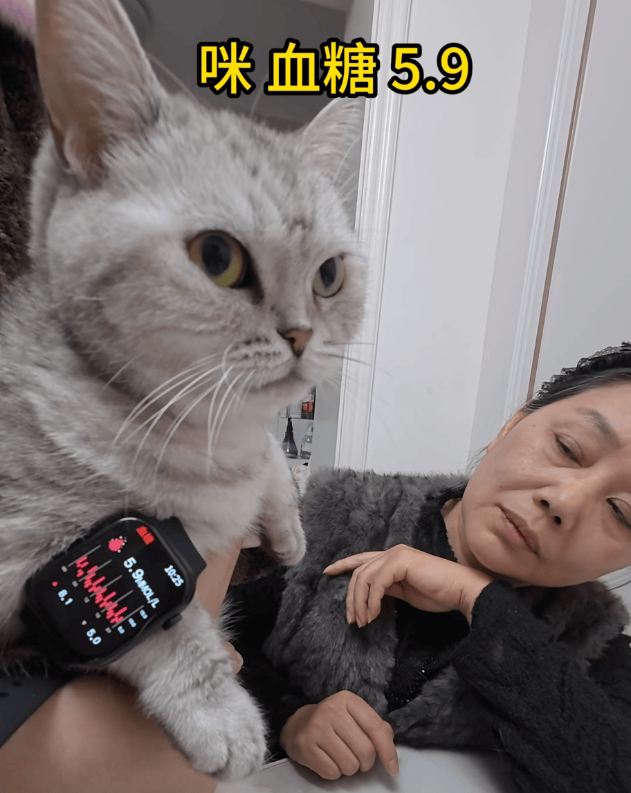 如何申请皇冠信用网_父母花84元网购“神奇手表”如何申请皇冠信用网，儿子发现能测万物：猫咪血糖5.9，吸尘器血糖7.4，父母：下次不买了