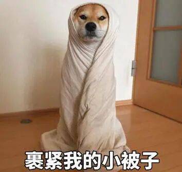 皇冠信用网网址_局地阵风10级以上！北京要降温了！最高气温降至冰点皇冠信用网网址，预计时间→