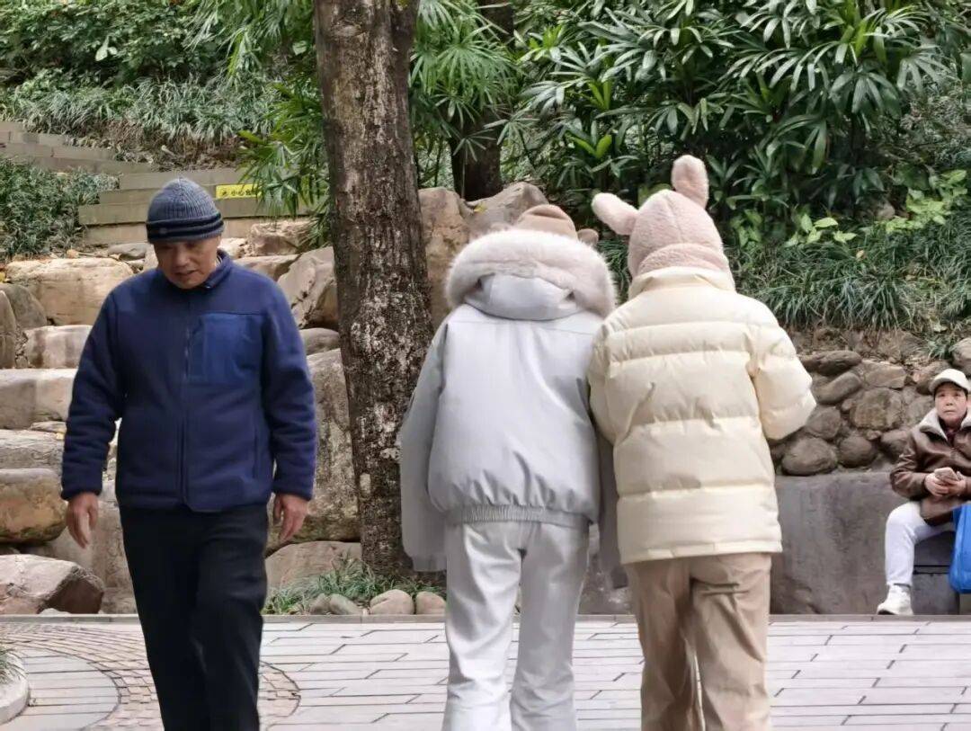 体育皇冠信用网_直冲20℃+!南宁“火箭式”升温体育皇冠信用网,“回南天”在路上了