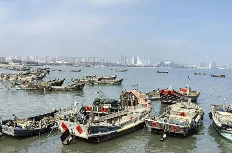 皇冠信用登2代理_批发价2元一斤皇冠信用登2代理,青岛这种海鲜卖爆了,1600万斤已上岸……