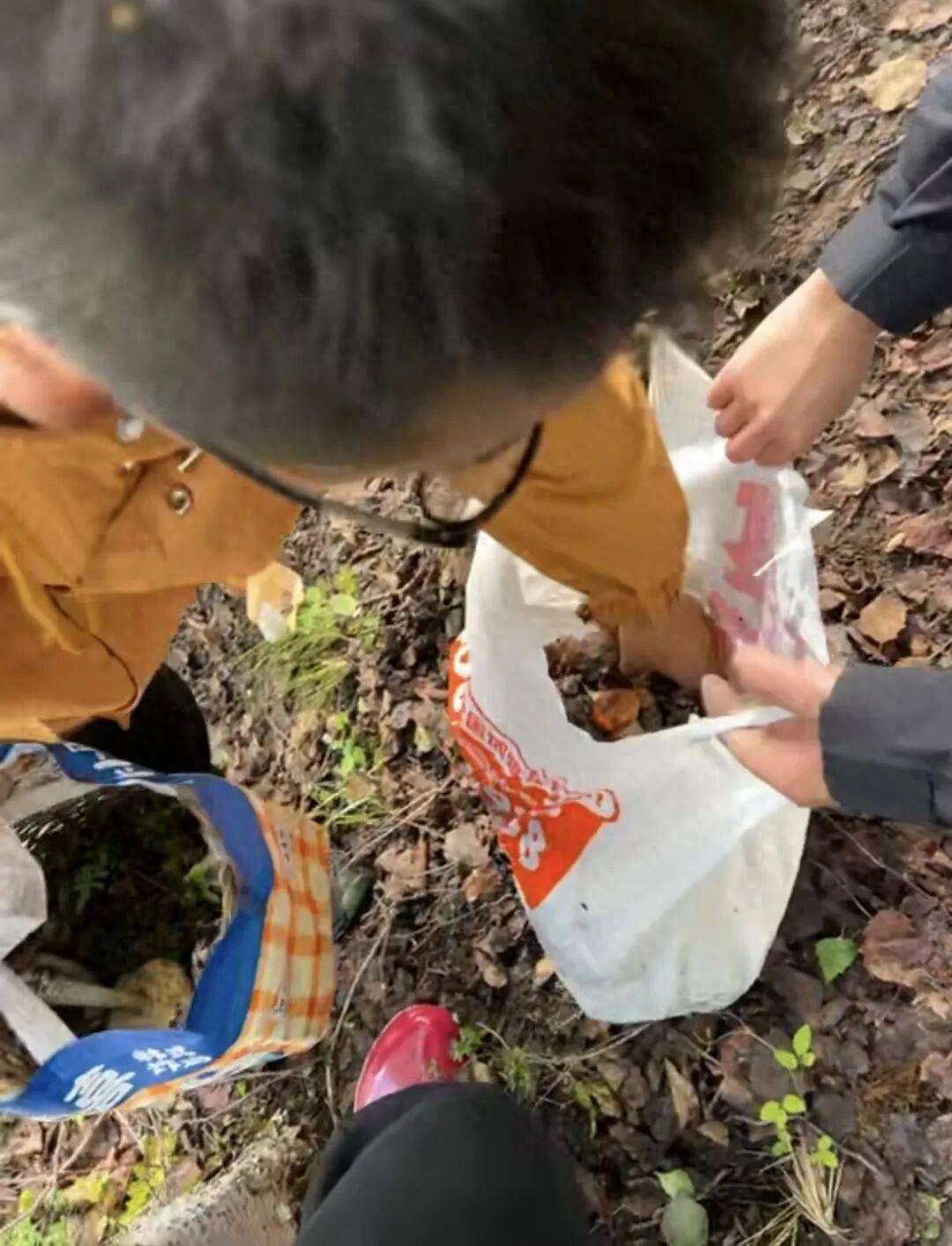 如何申请皇冠代理_情侣川西旅游如何申请皇冠代理,辛苦采摘10斤菌子,遇到当地小孩哥果断扔掉8斤,当事人:他丢的时候好潇洒