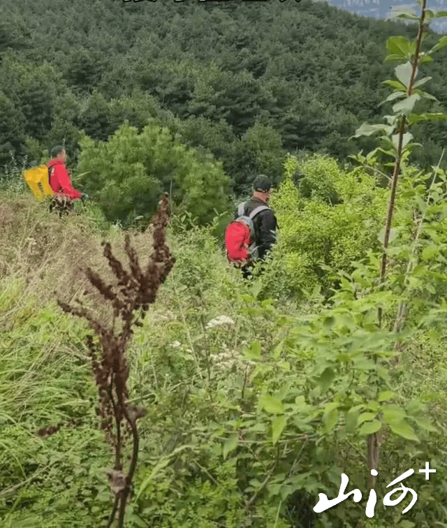 皇冠登一登二登三区别_63岁男子独自考察南太行失联近4个月皇冠登一登二登三区别,家属悬赏10万寻人:重启搜救7天,搜救员被毒蛇咬伤